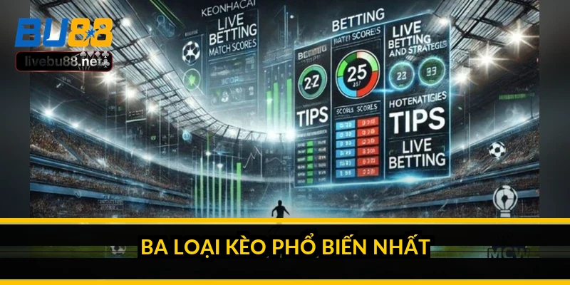 Hướng dẫn xem tỷ lệ kèo nhà cái cho người mới bắt đầu 2 Ba loại kèo phổ biến nhất