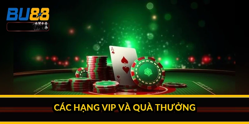 Các hạng VIP và quà thưởng