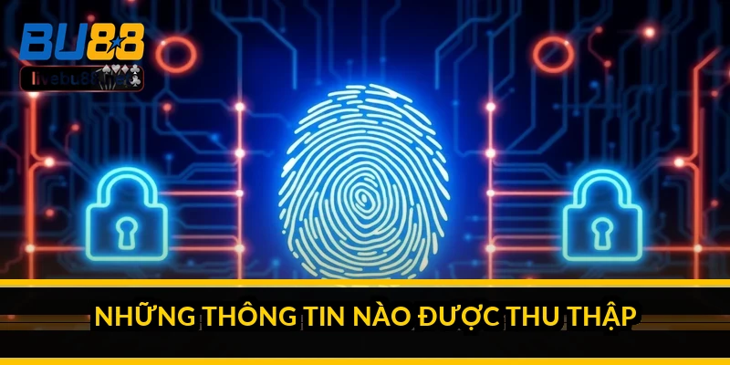 Những thông tin nào được thu thập?