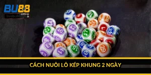 Cách nuôi lô kép khung 2 ngày