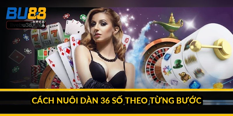 Cách nuôi dàn 36 số theo từng bước