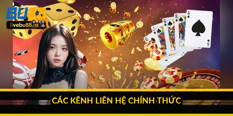 Các kênh liên hệ chính thức