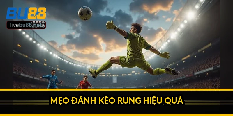 Mẹo đánh kèo rung hiệu quả