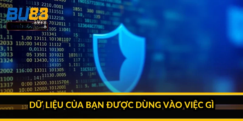 Dữ liệu của bạn được dùng vào việc gì?