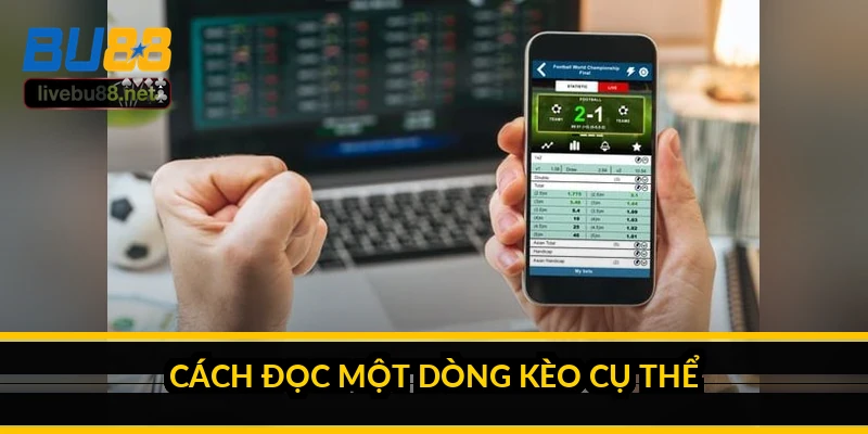 Hướng dẫn xem tỷ lệ kèo nhà cái cho người mới bắt đầu 3 Cách đọc một dòng kèo cụ thể