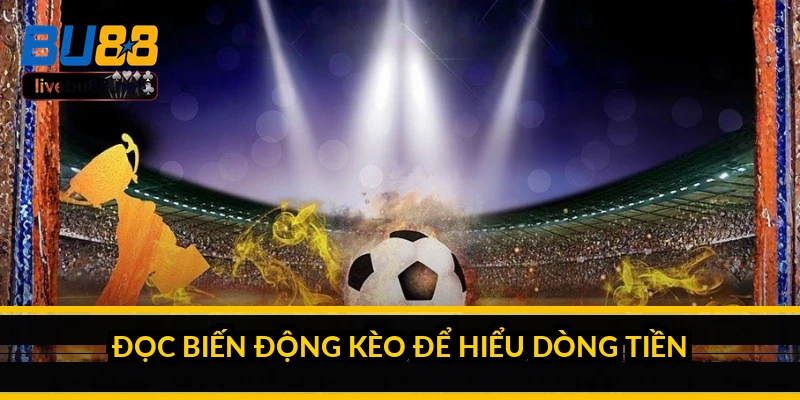 Đọc biến động kèo để hiểu dòng tiền
