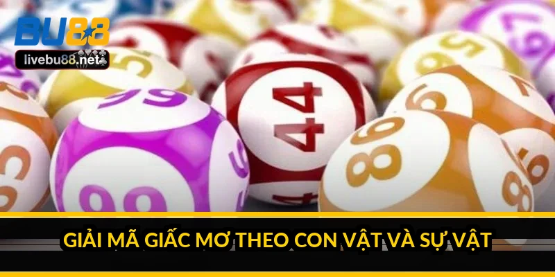 Giải mã giấc mơ theo con vật và sự vật
